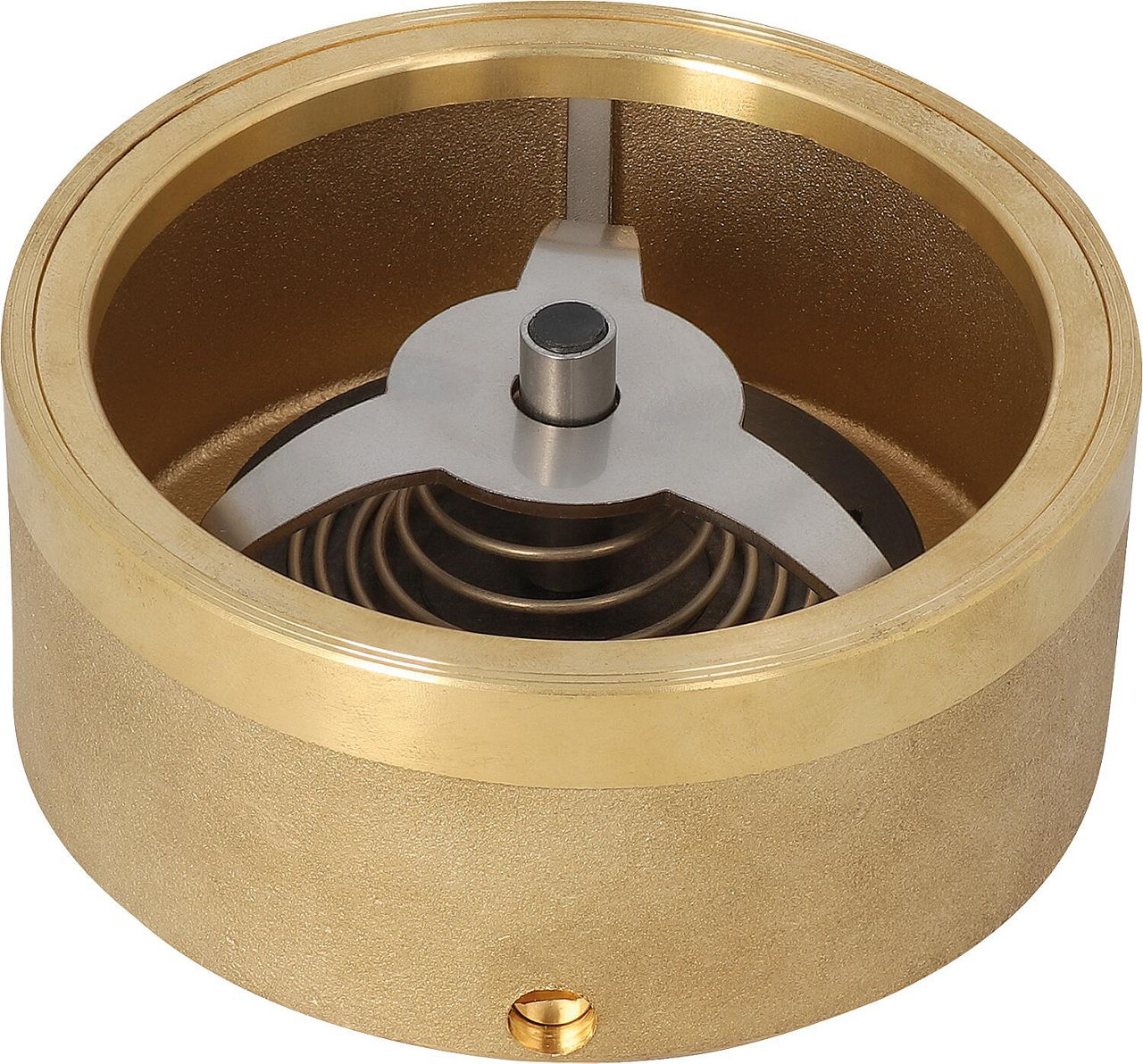 Schwerkraftbremse TS 11S DN50 (2")