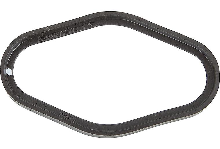 Dichtung Abgasrohr Wolf 8602132
