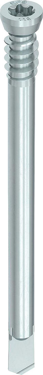 Stabdübel HECO-WS-T 7,0 x 73, Zylindersenkkopf, UK-Gewinde, verzinkt blau, VPE: 100 Stabdübel HECO-WS-T 7,0 x 73, Zylindersenkkopf, UK-Gewinde, verzinkt blau, VPE: 100