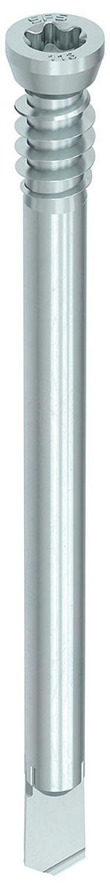 Stabdübel HECO-WS-T 7,0 x 153, Zylindersenkkopf, UK-Gewinde, verzinkt blau, VPE: 50 Stabdübel HECO-WS-T 7,0 x 153, Zylindersenkkopf, UK-Gewinde, verzinkt blau, VPE: 50