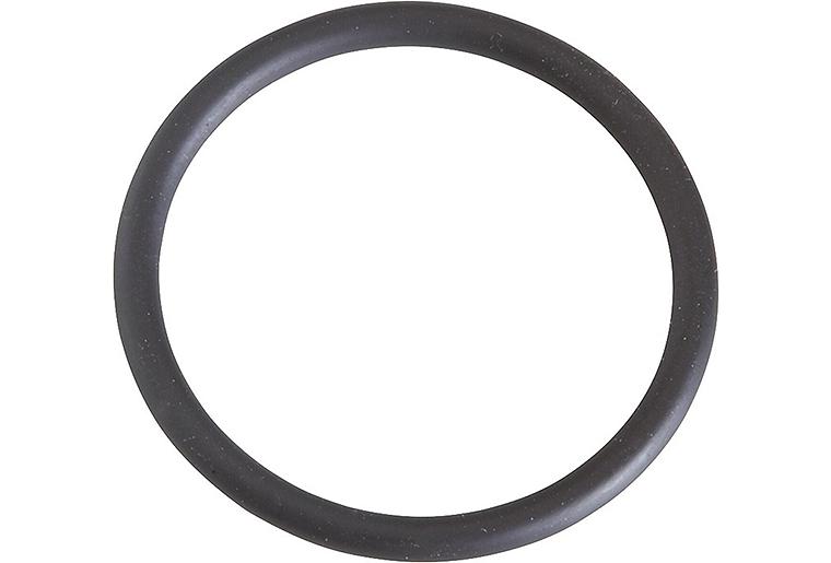 O-Ring für Flansche passend zu Minisit 710 Ref. 0.925.034