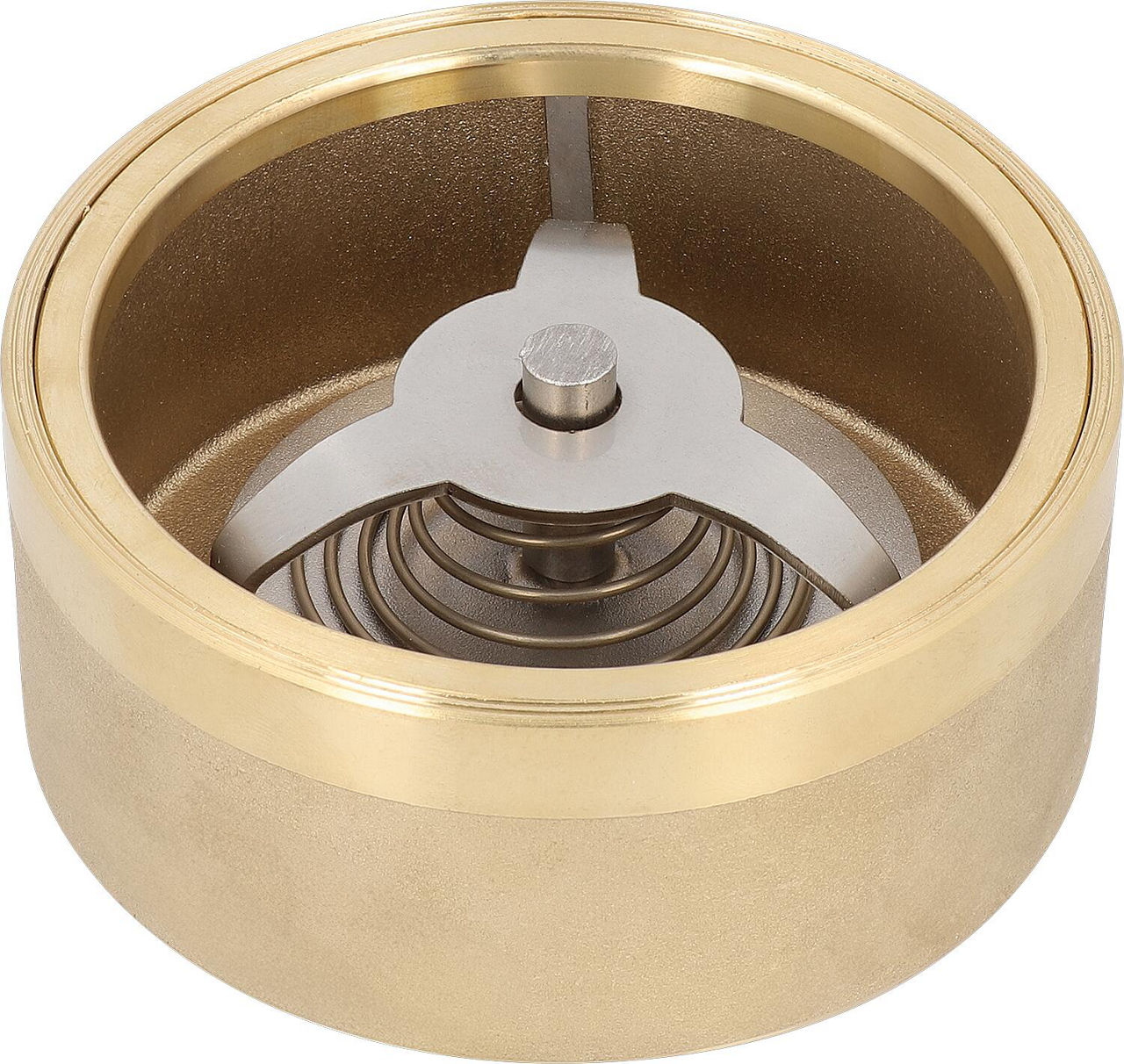 Schwerkraftbremse TS 14S DN50 (2")