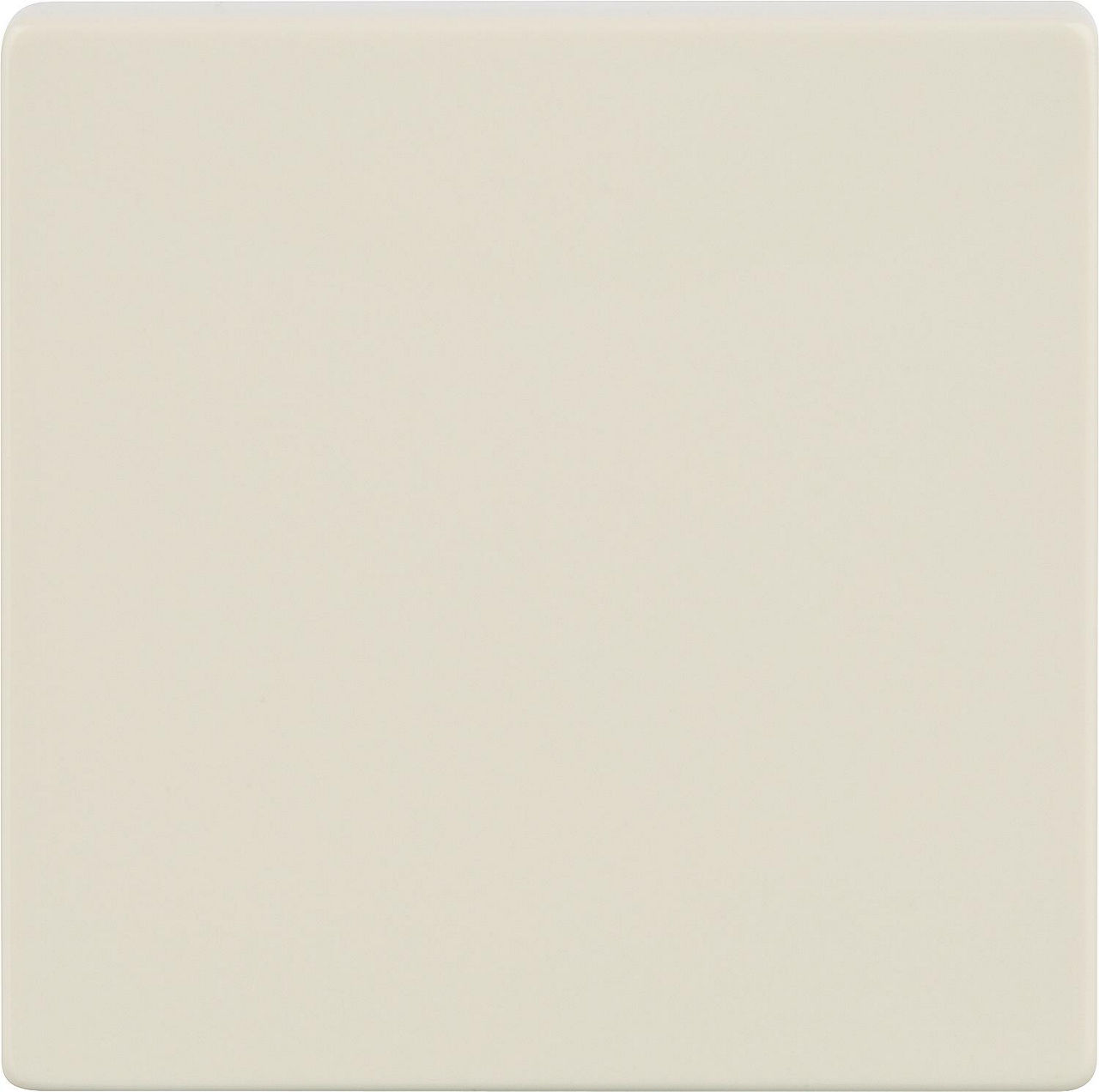 Wippe neutral/ elektroweiß 55 mm x 55 mm Schutzart IP20 / 1 Stück