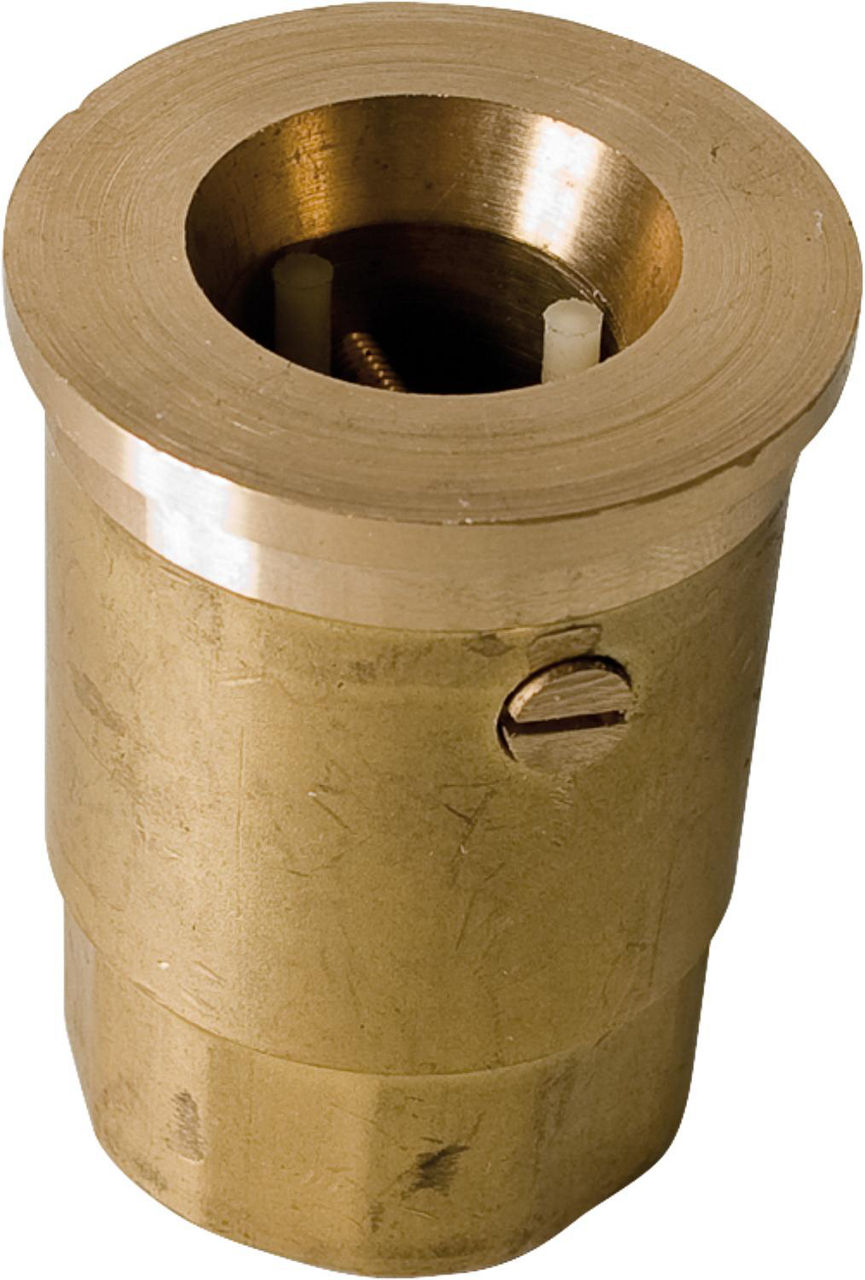 Schwerkraftbremse TS50 FI DN25 1"