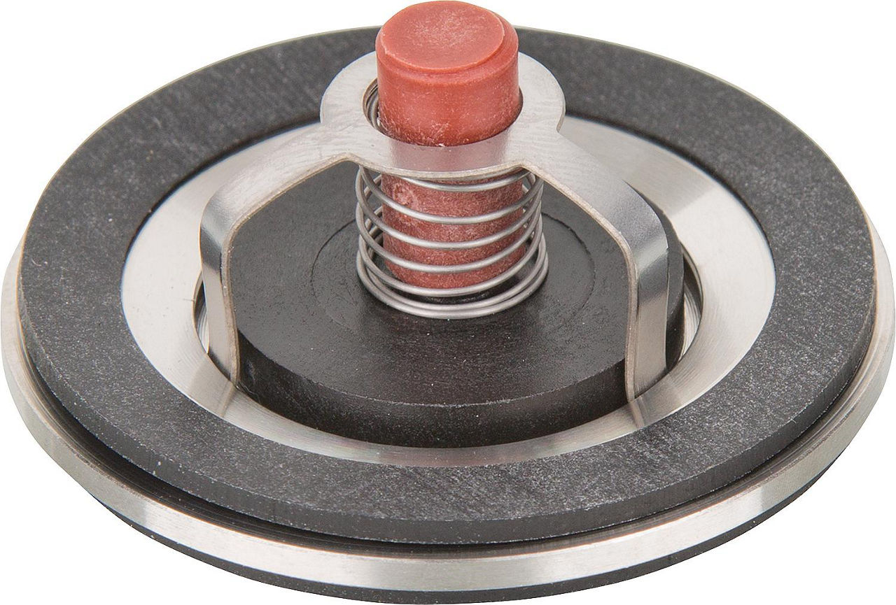 Schwerkraftbremse TopInset Typ 73, DN25 (1")