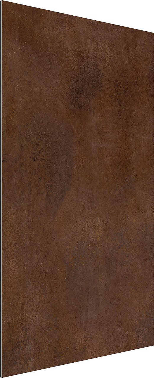 Duschrückwand Rost BxHxT 1000x2500x3 mm