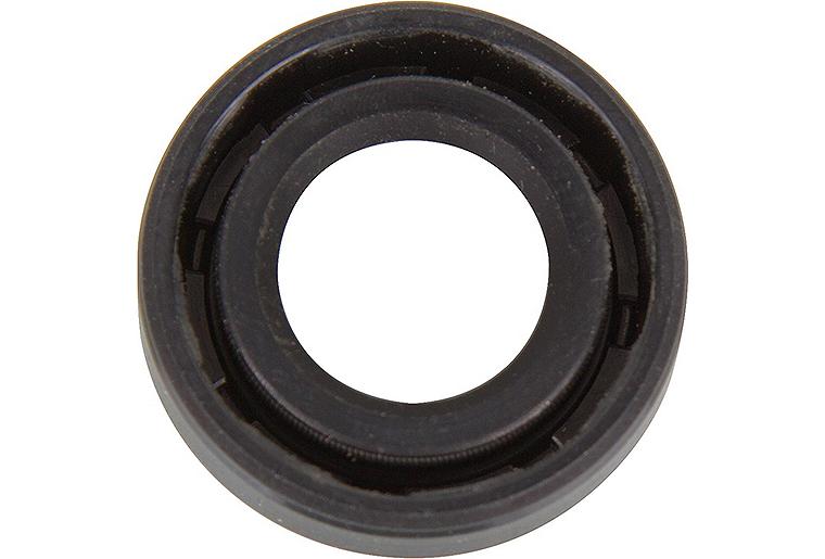 Wellendichtring für Unistarpumpe 2000A