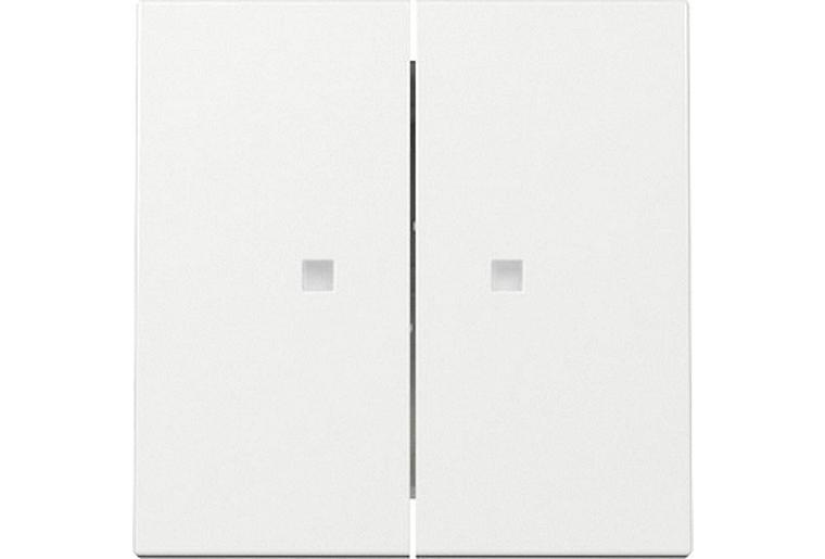Wippe 2-fach, Kontrollfenster, rws glz, System 55, 363103