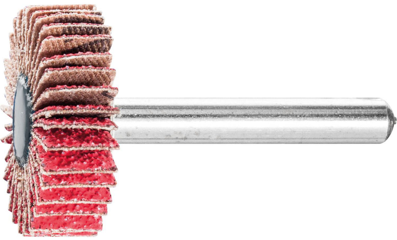 Fächerschleifer Pferd F, Ø 30 x 10 mm, Schaft-Ø 6 mm, Körnung A 60 Fächerschleifer Pferd F, Ø 30 x 10 mm, Schaft-Ø 6 mm, Körnung A 60