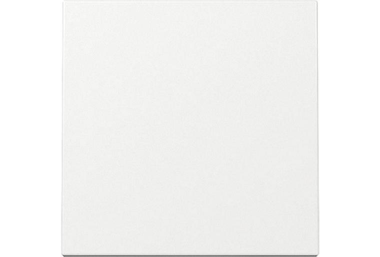Wippe Schalter und Taster, rws glz, System 55, 329603
