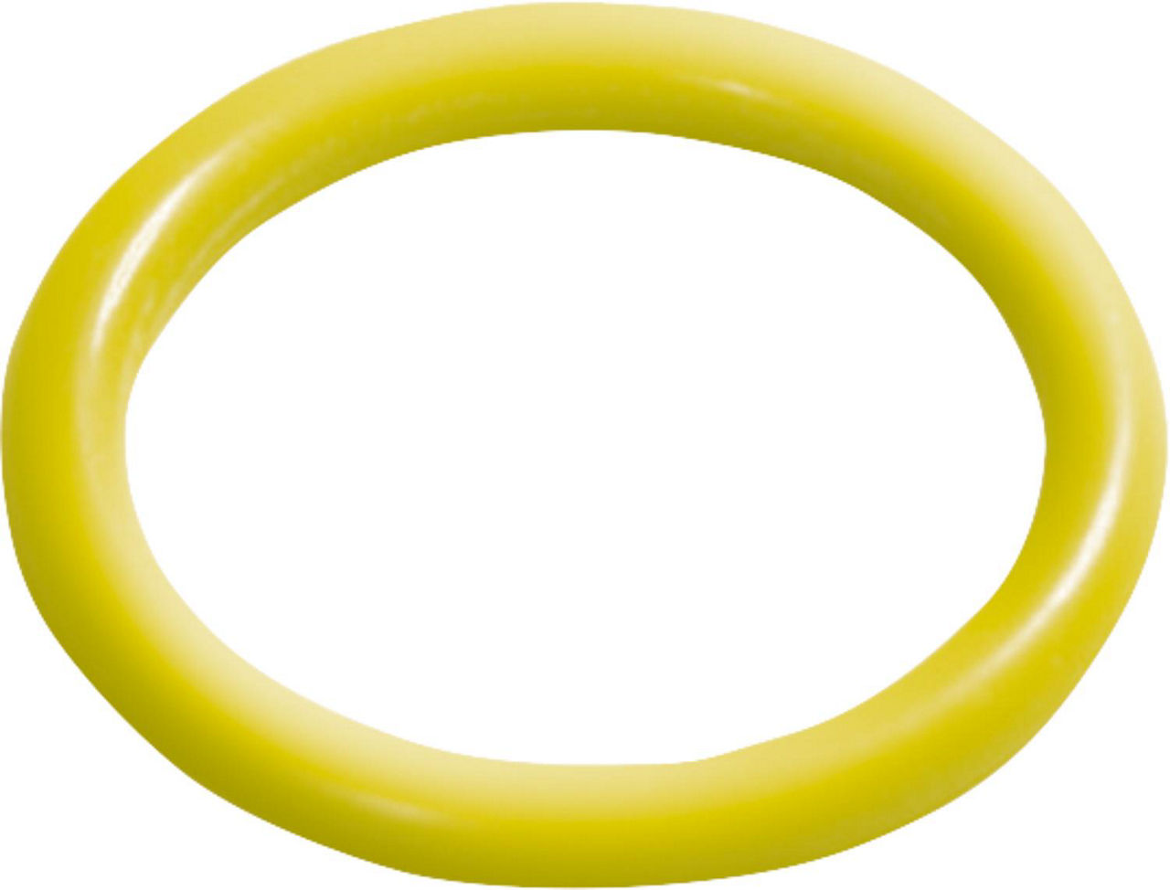 Dichtring HNBR (gelb), für Gas, DN 76,1, Edelstahl Gas