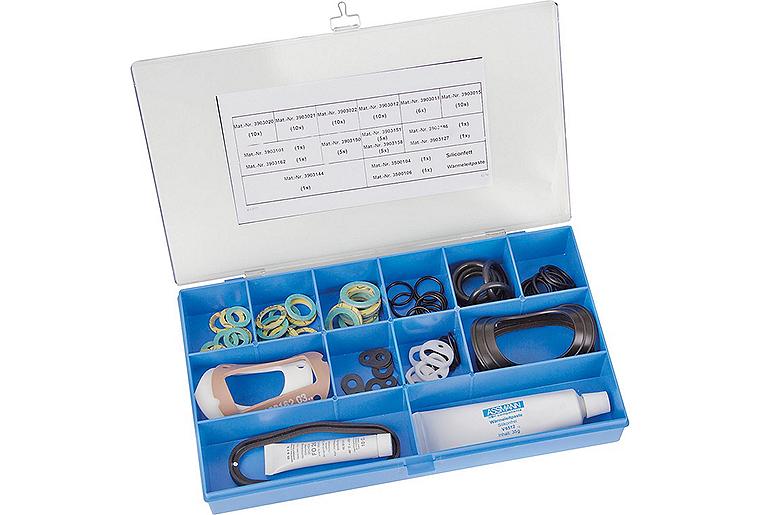 Wartungsset Wolf 8601006