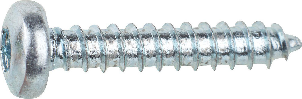 Blechschraube Linsenkopf DIN/EN/ ISO 14585 mit Torx, verzinkt ø 4,8x25 mm, VPE = 1000 Stück
