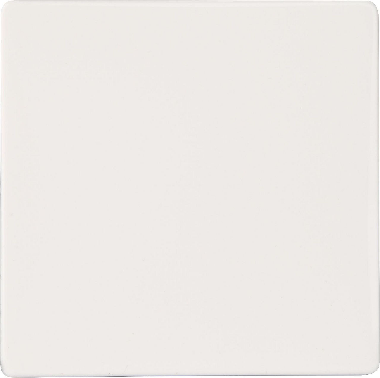 Wippe neutral/ titanweiß 55 mm x 55 mm Schutzart IP20 / 1 Stück