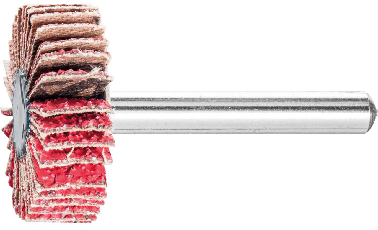 Fächerschleifer Pferd F, Ø 30 x 10 mm, Schaft-Ø 6 mm, Körnung A 40 Fächerschleifer Pferd F, Ø 30 x 10 mm, Schaft-Ø 6 mm, Körnung A 40
