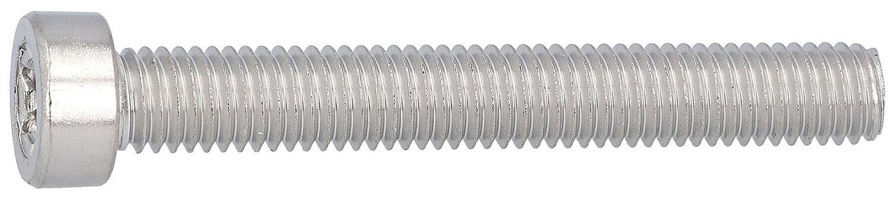 Zylinderschrauben, TX, niedriger Kopf ISO 14580 A2 M 2X12 TX6 VPE: 1000